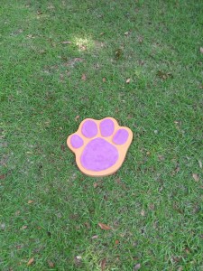 Clemson Paw