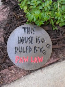 paw law